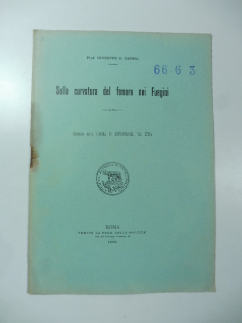 Sulla curvatura del femore nei Fuegini
